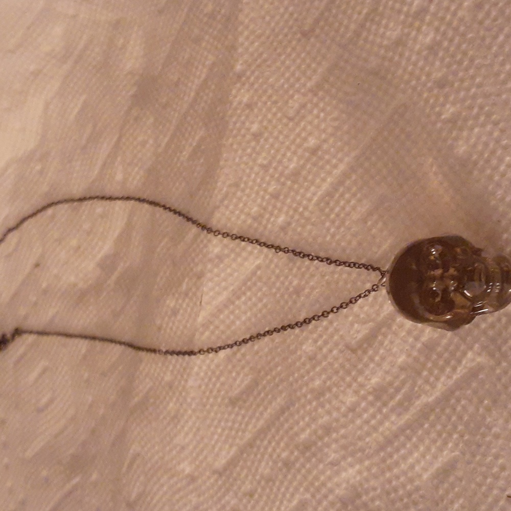 Skull necklace with black chain